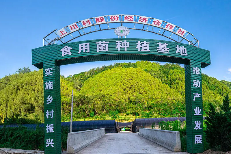 客戶案例二
