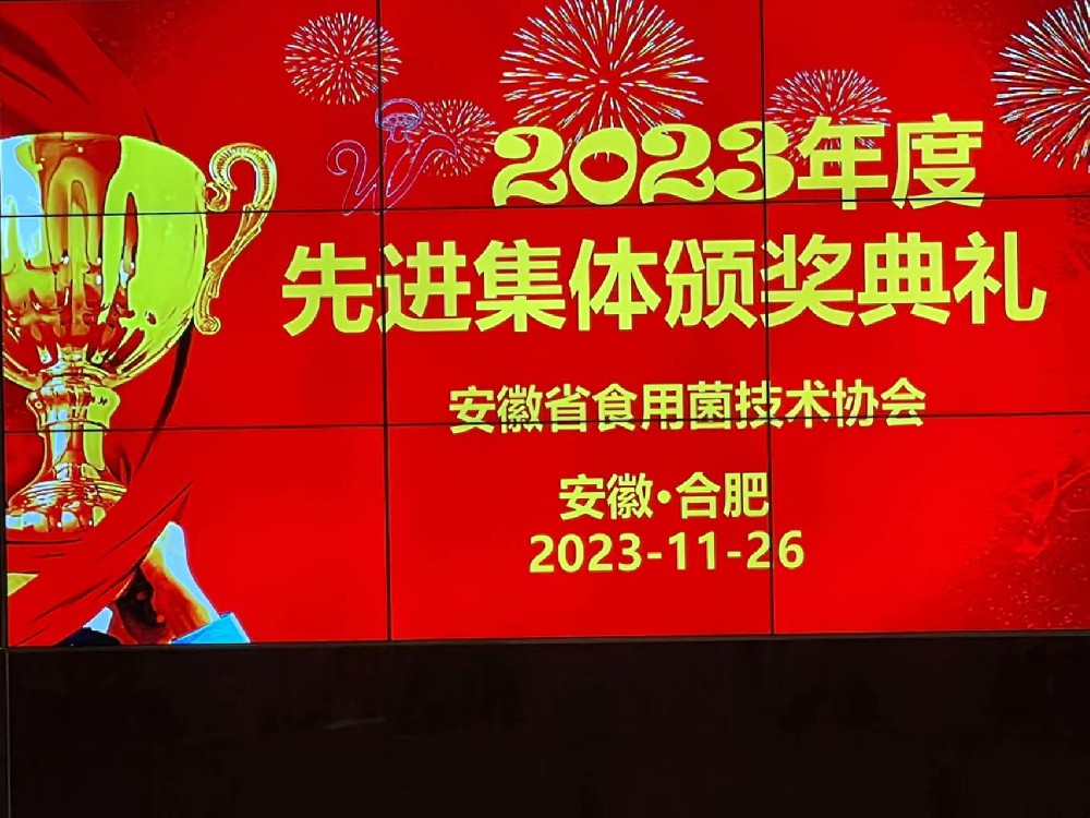 先進(jìn)集體及先進(jìn)個(gè)人表彰大會(huì)----安徽新徽菇生物科技有限公司