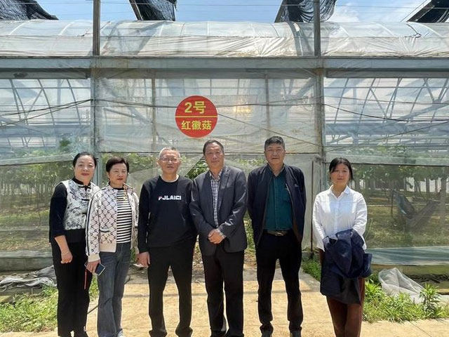 宜商總會秘書長張翼訪問新徽菇 推動鄉(xiāng)村振興合作