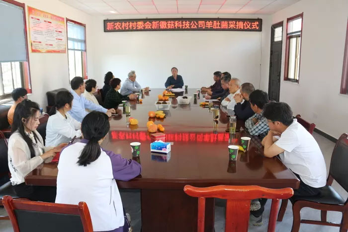新徽菇2024羊肚菌高質高產發(fā)布會在紫蓬鎮(zhèn)新農村基地舉行