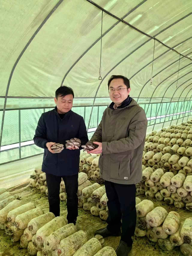 安徽省食用菌技術協(xié)會會長王永中一行參觀安徽省六安國家農(nóng)業(yè)科技園區(qū)和舒城縣農(nóng)科所