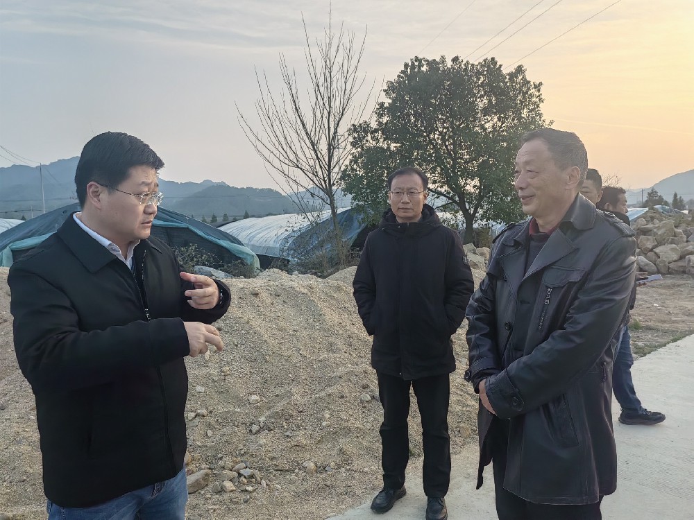何斌縣長考察安徽新徽菇岳西菌種廠